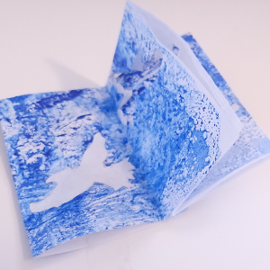 Cutout Book